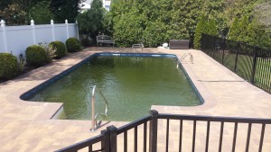 mattison pool after